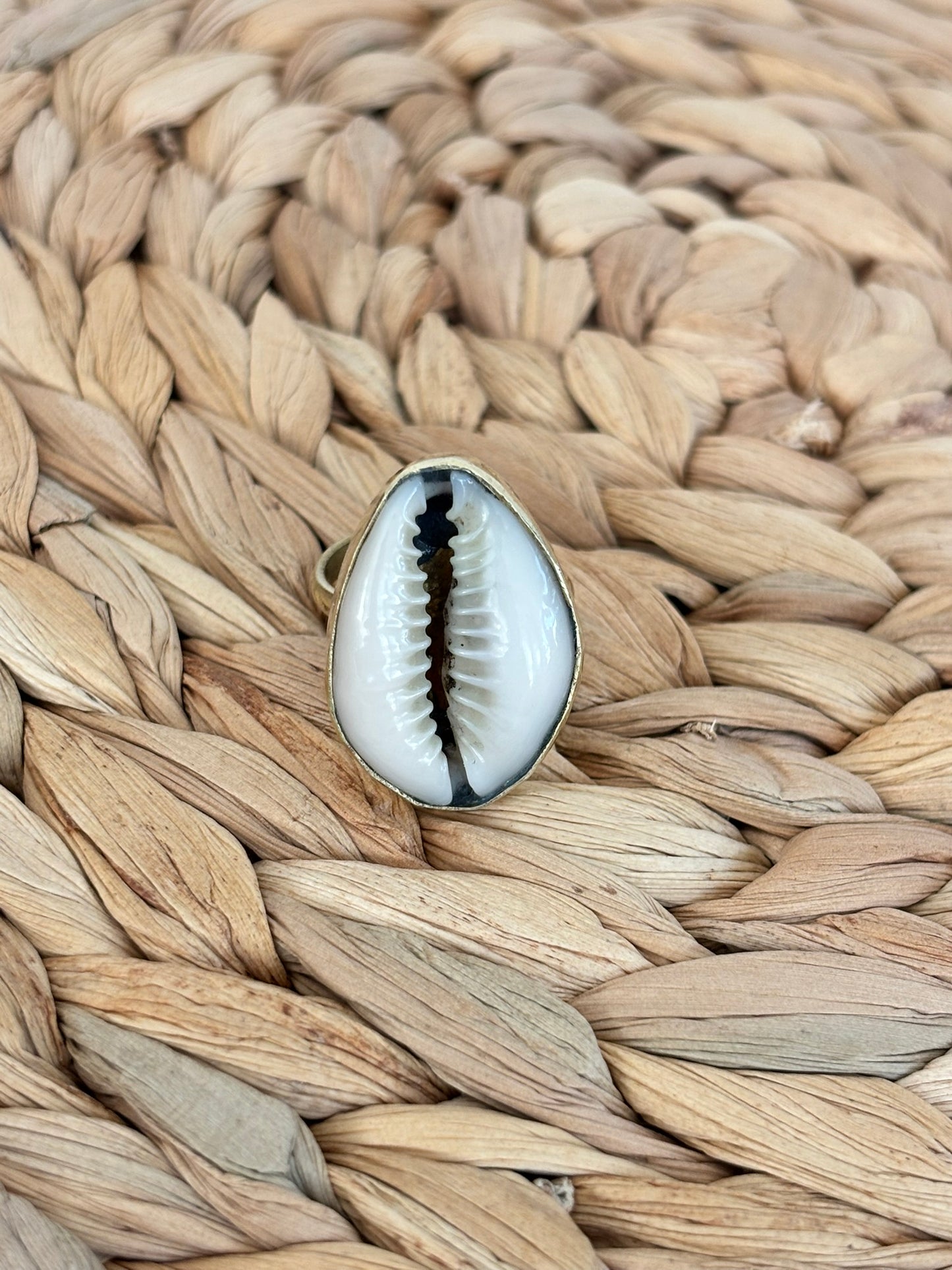 Single Cowrie Shell Ring - Waves of Legacy