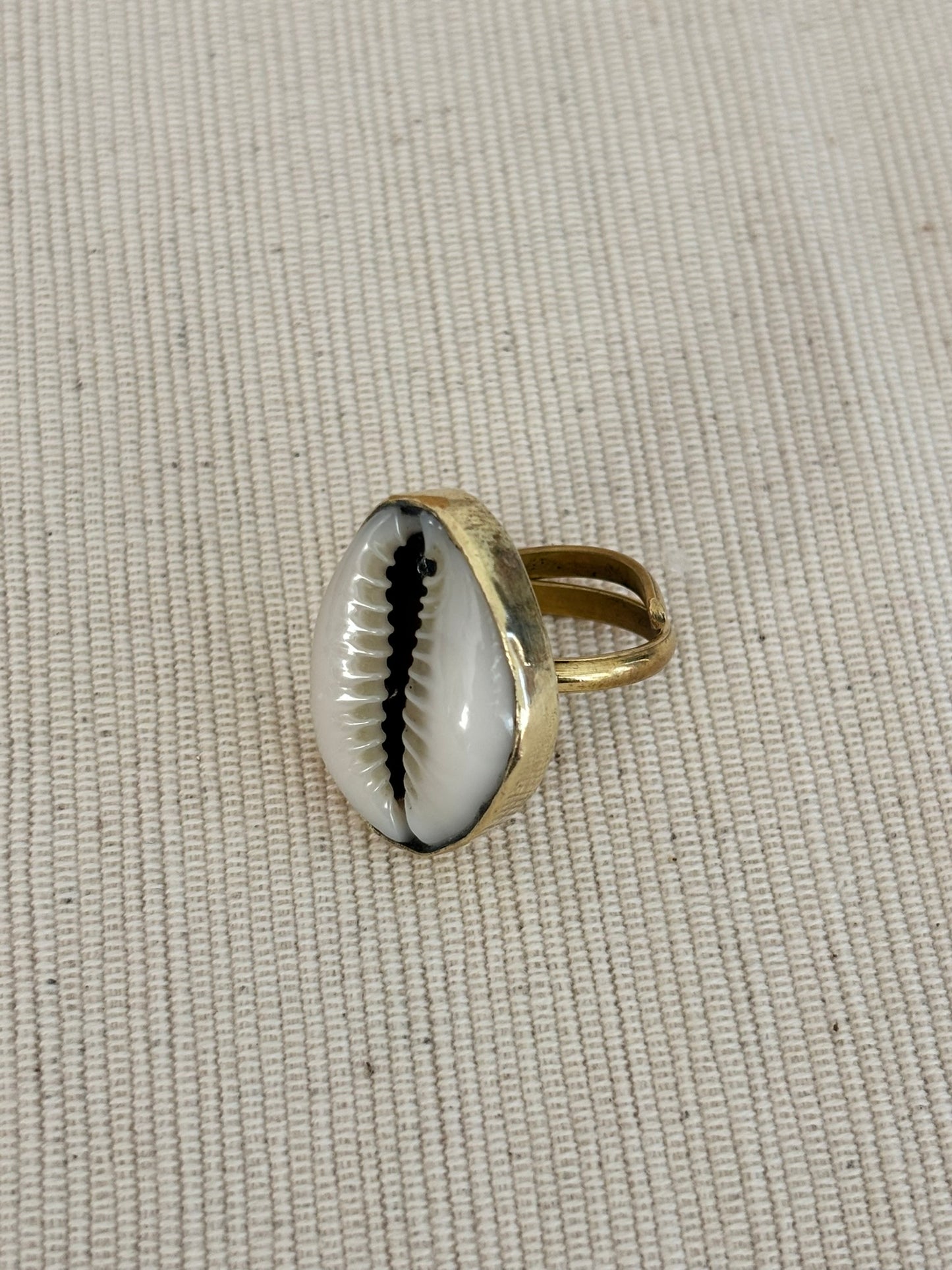 Single Cowrie Shell Ring - Waves of Legacy