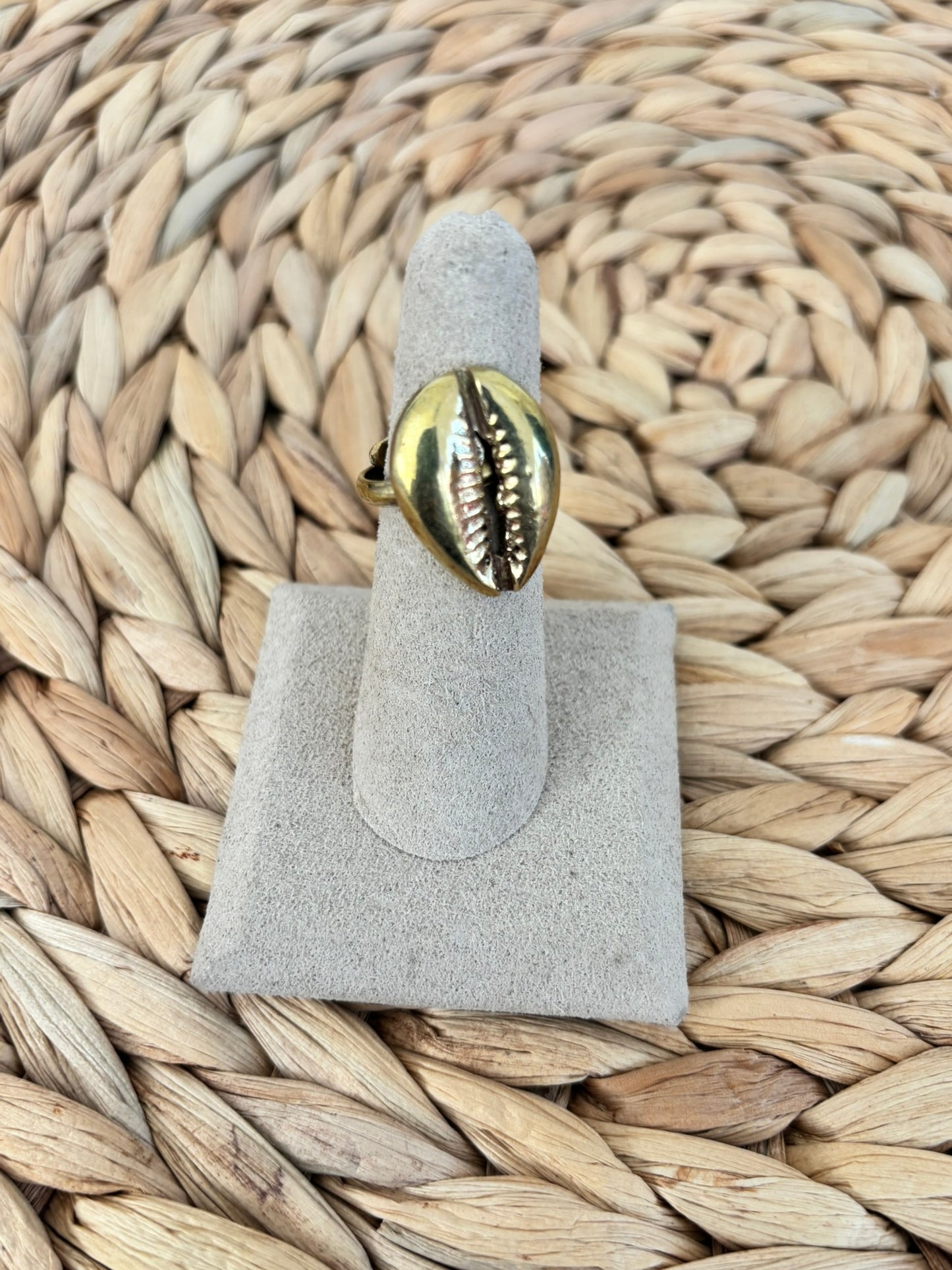 Single Shell Brass Ring