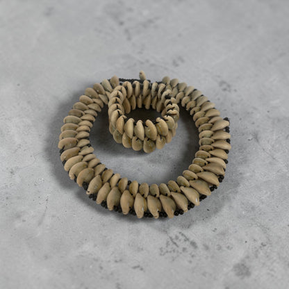 The Double Cowrie Bracelet and Necklace Set